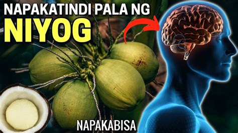 buwa ng niyog benefits|6 Amazing Health Benefits Of Niyog.